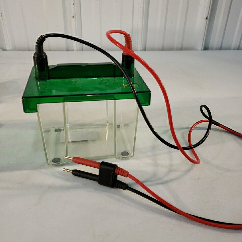 Bio Rad Mini PROTEAN 3 SDS-PAGE Gel Electrophoresis Rig System With Glass Plates