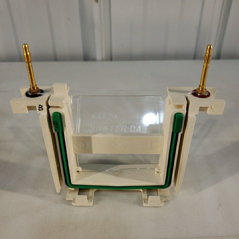 Bio Rad Mini PROTEAN 3 SDS-PAGE Gel Electrophoresis Rig System With Glass Plates