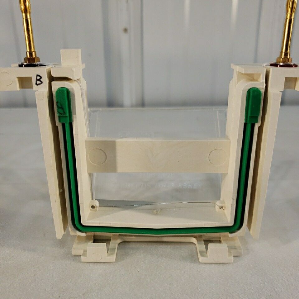 Bio Rad Mini PROTEAN 3 SDS-PAGE Gel Electrophoresis Rig System With Glass Plates