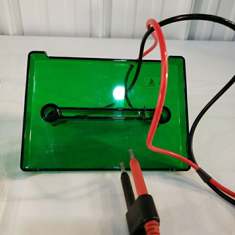 Bio Rad Mini PROTEAN 3 SDS-PAGE Gel Electrophoresis Rig System With Glass Plates