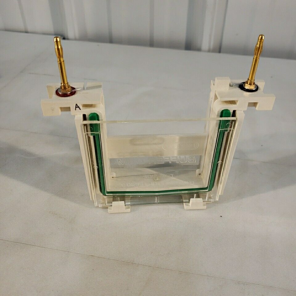 Bio Rad Mini PROTEAN 3 SDS-PAGE Gel Electrophoresis Rig System With Glass Plates