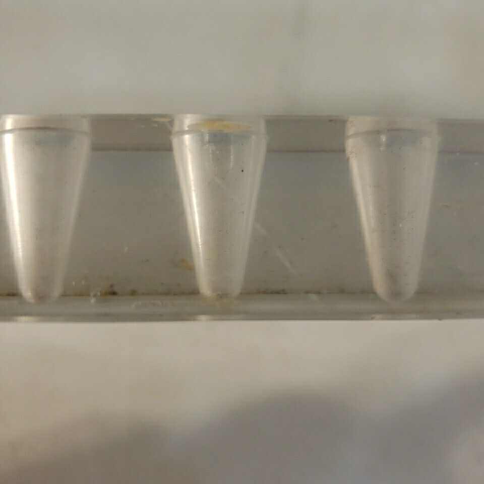 Basel Institute Test Tube Microcentrifuge Rack 10 Well For Immunology Tapered