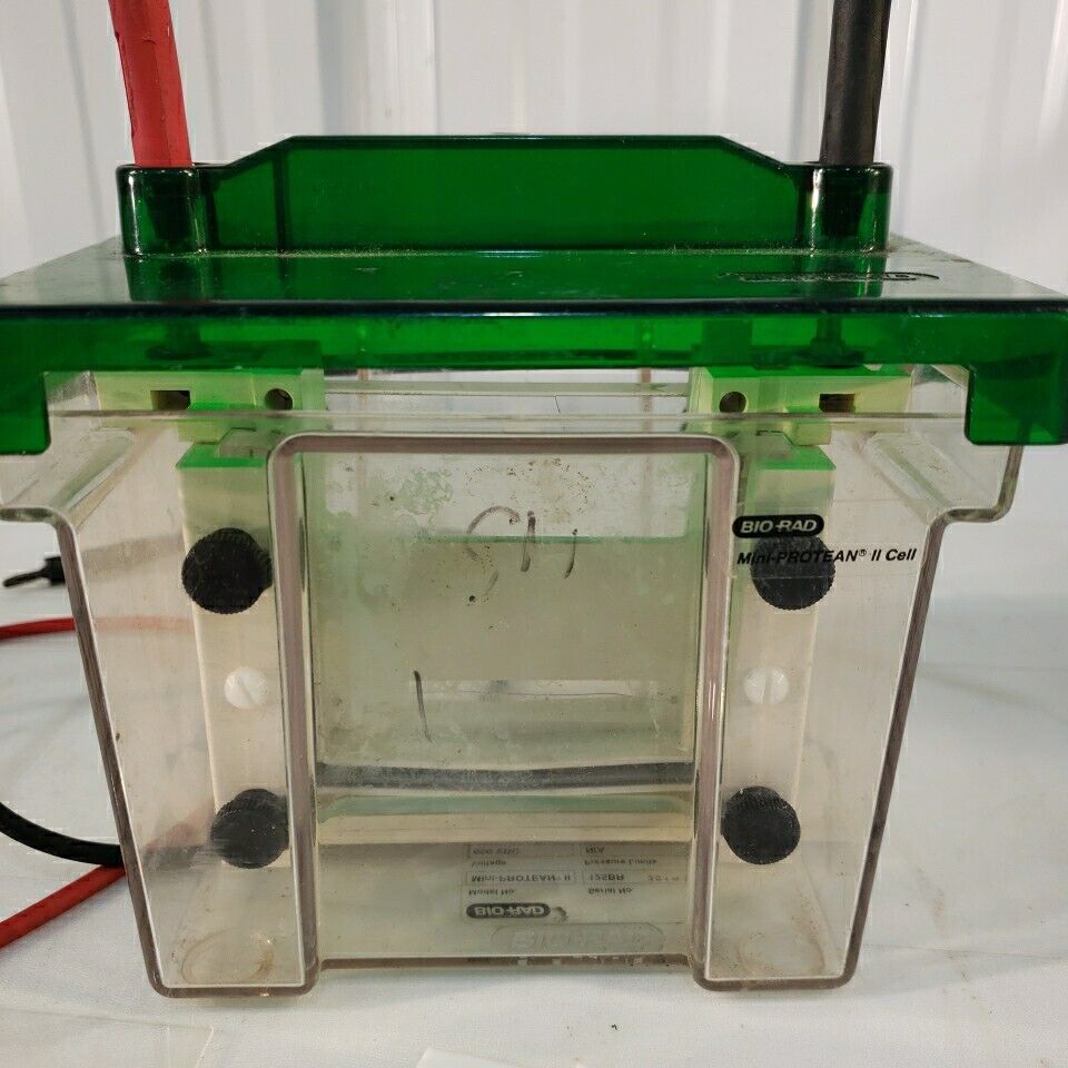 Bio Rad Mini Protean II Electrophoresis Cell System 600V Bio-Rad Mini-protean