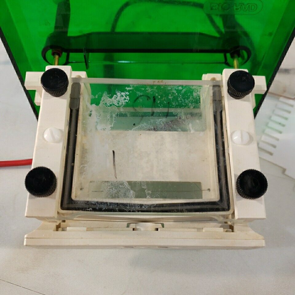 Bio Rad Mini Protean II Electrophoresis Cell System 600V Bio-Rad Mini-protean