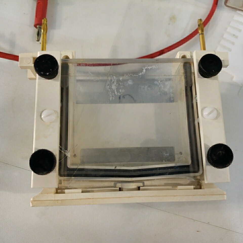 Bio Rad Mini Protean II Electrophoresis Cell System 600V Bio-Rad Mini-protean