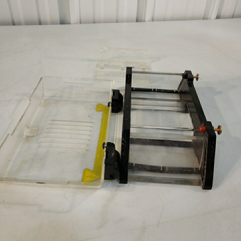 IBI QS-710 Quick Screen Electrophoresis Shelton Scientific Cell System Horizonta