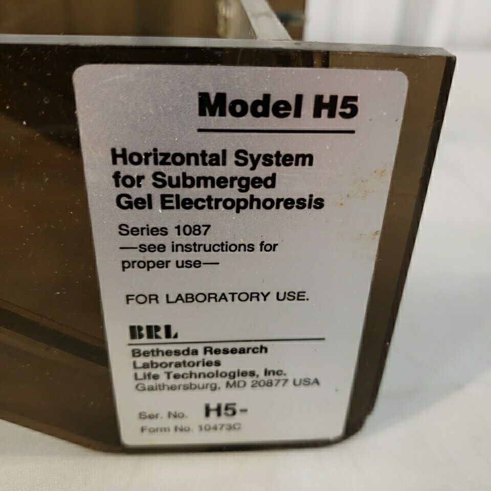 Life Technologies H5 Horizontal Systen Submerged Gel Electrophoresis Bethesda