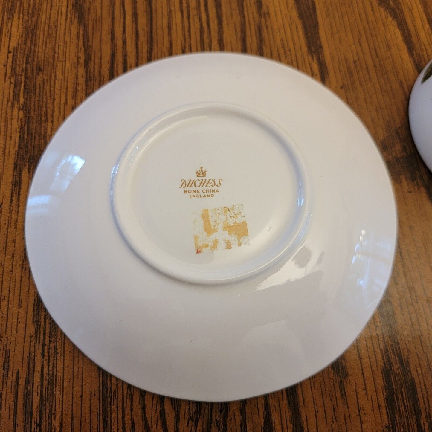 Duchess Bone China Teacup & Saucer Floral Stem Greend Pattern 346 England