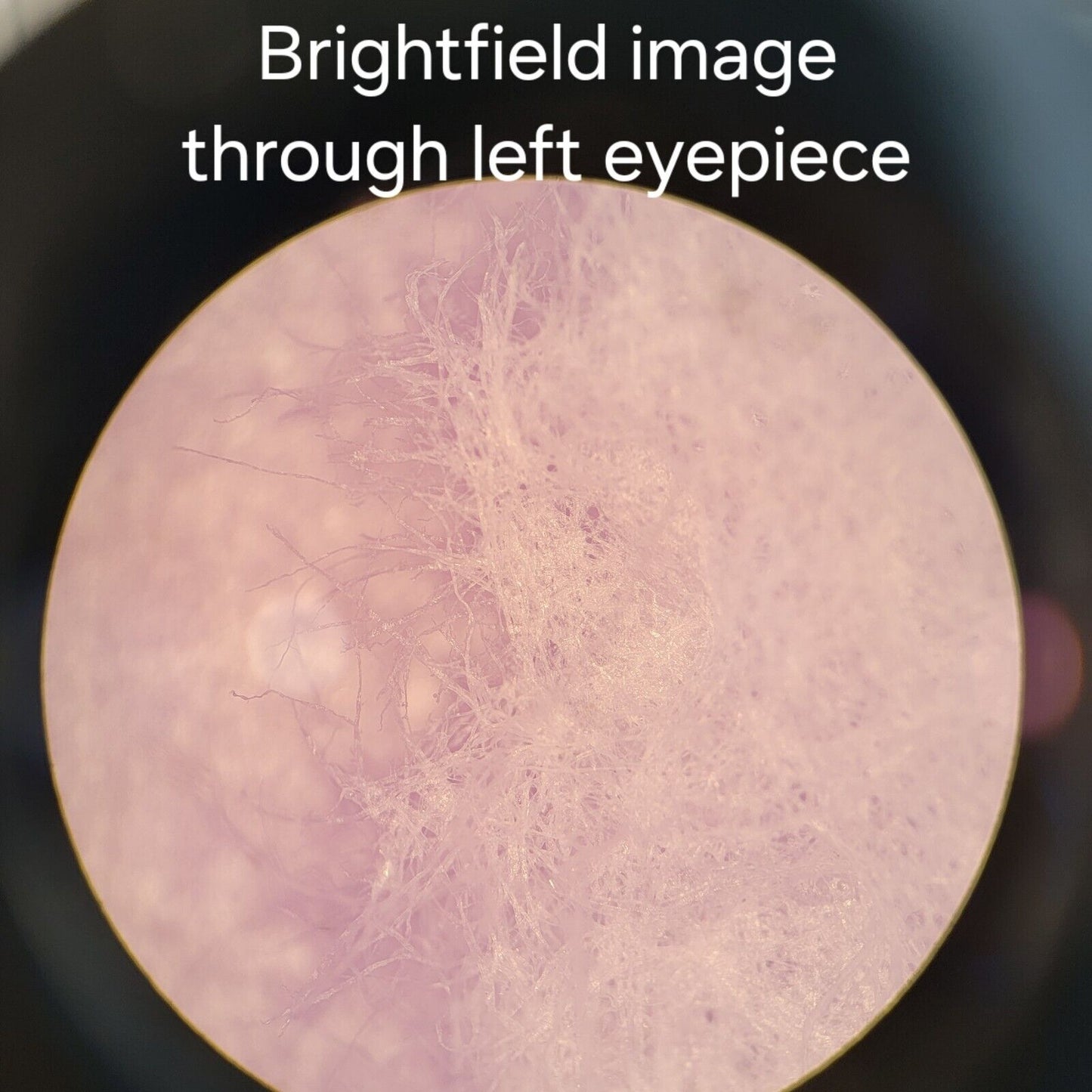 Olympus BX60 M Microscope Trinocular BF/DF Metallurgical BX60MF5 w/ Eyepieces, O
