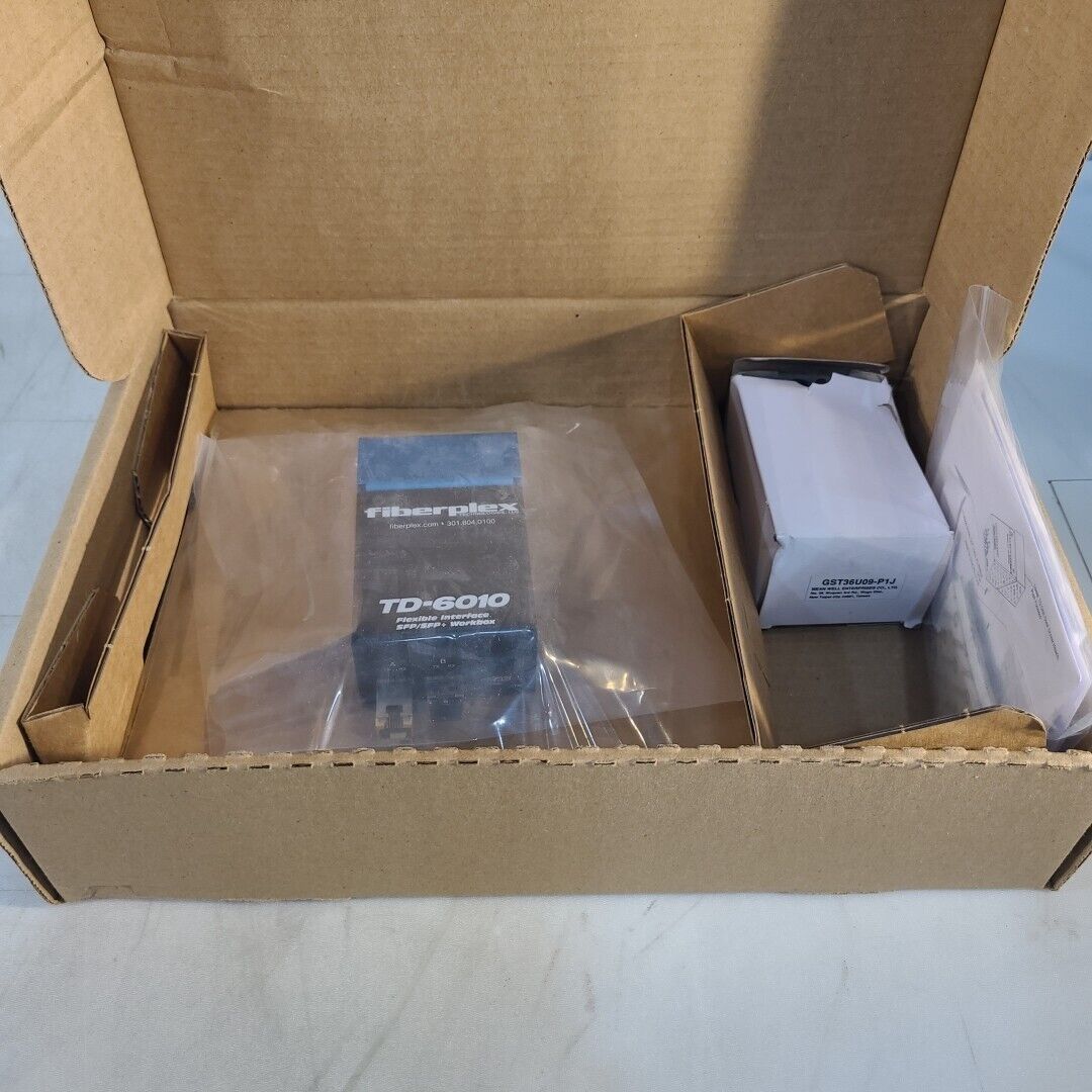Patton Fiberplex Technigies TD-6010 Flexible Interface Dual SFP/SPF+ Workbox