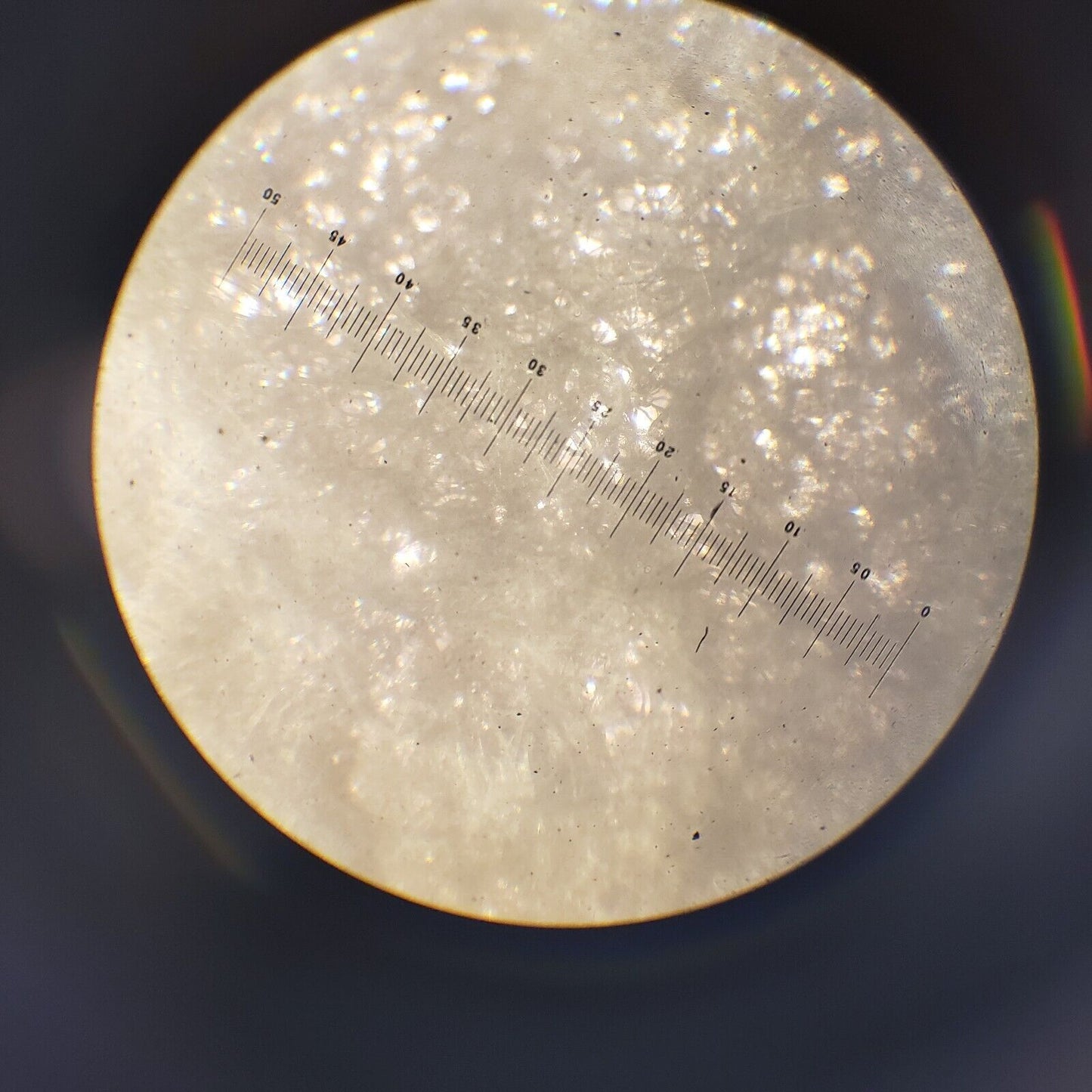 Leitz Wetzlar 716547 Upright Microscope w/ Four Objective Lenses, Two Eyepieces