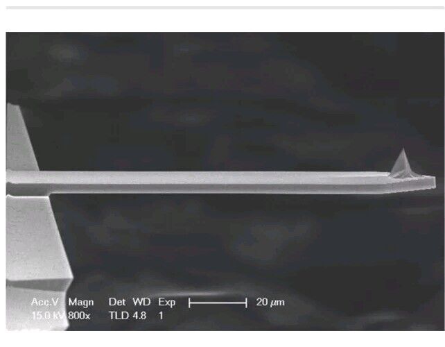 Bruker AFM Probe RTESPA-300 300kHz 40N/m Box of 9 Tips Silicon Cantilevers Veeco