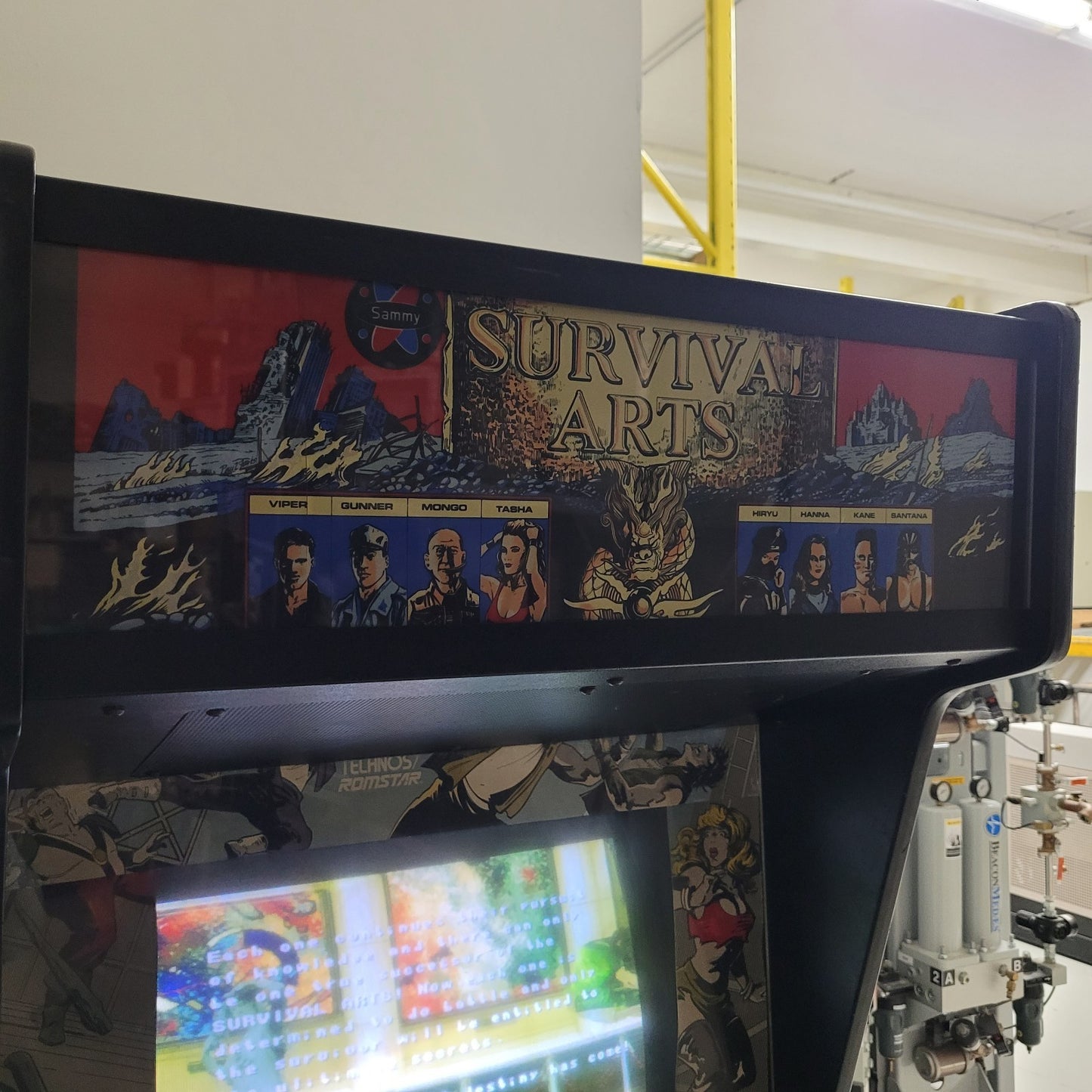 Vintage Sammy Survival Arts Arcade Cabinet Video Game 1994 - Tested Working
