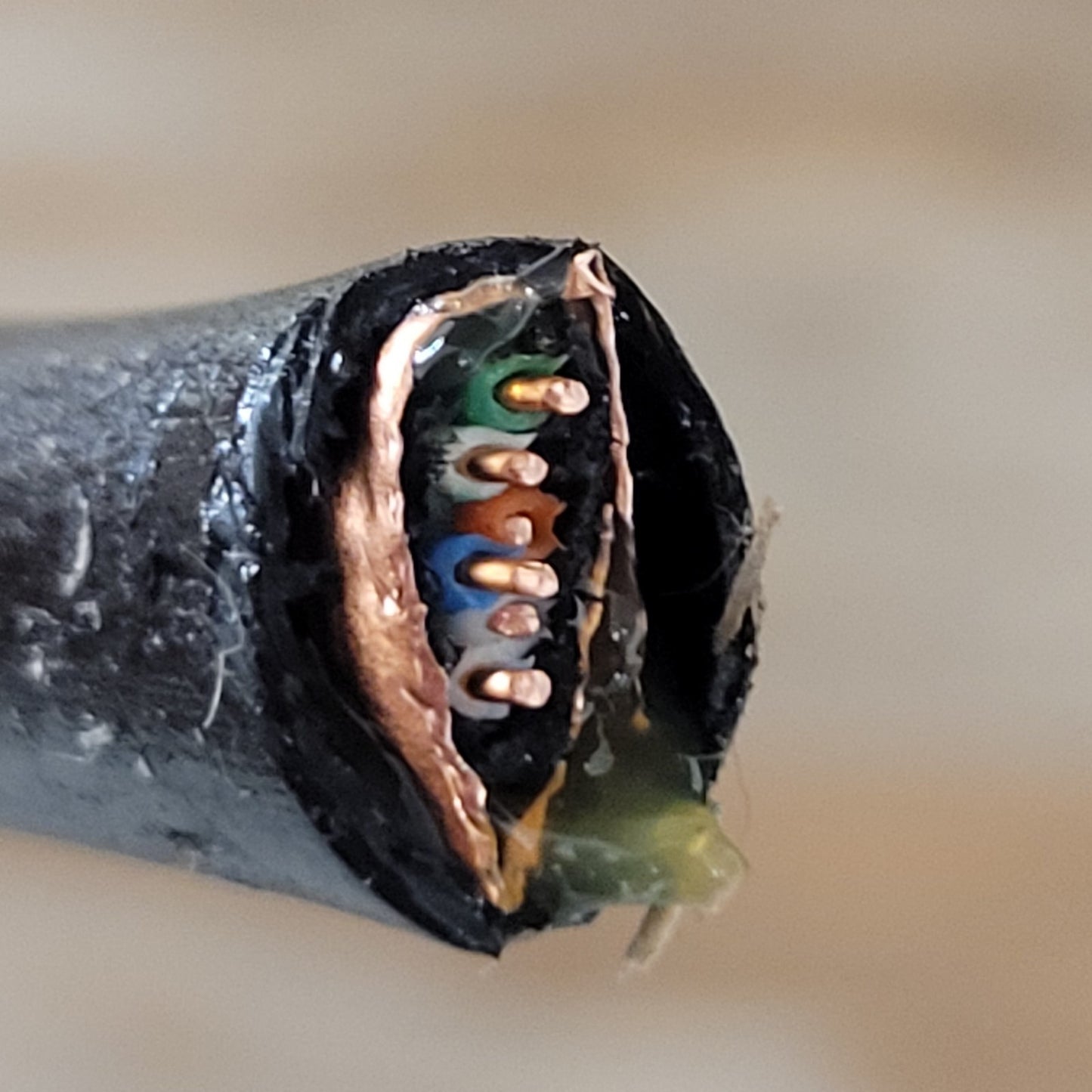 PRICE PER FOOT- Superior/Essex 324 BWFY 03 99C Insulated Comm Copper Cable
