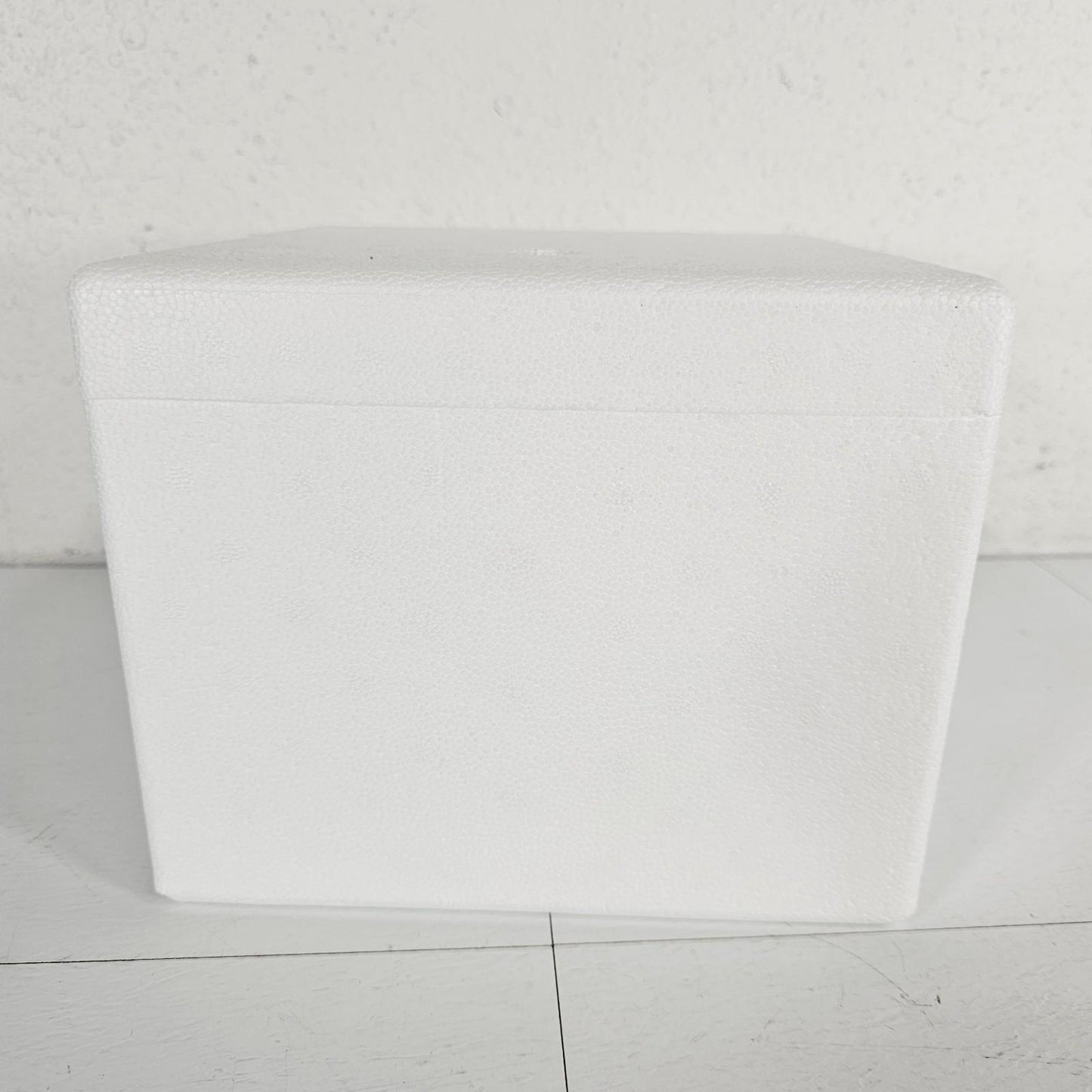 Styrofoam Insulated Shipping Mailer Cryo Shipper Cooler PERISHABLES MEDS FOOD