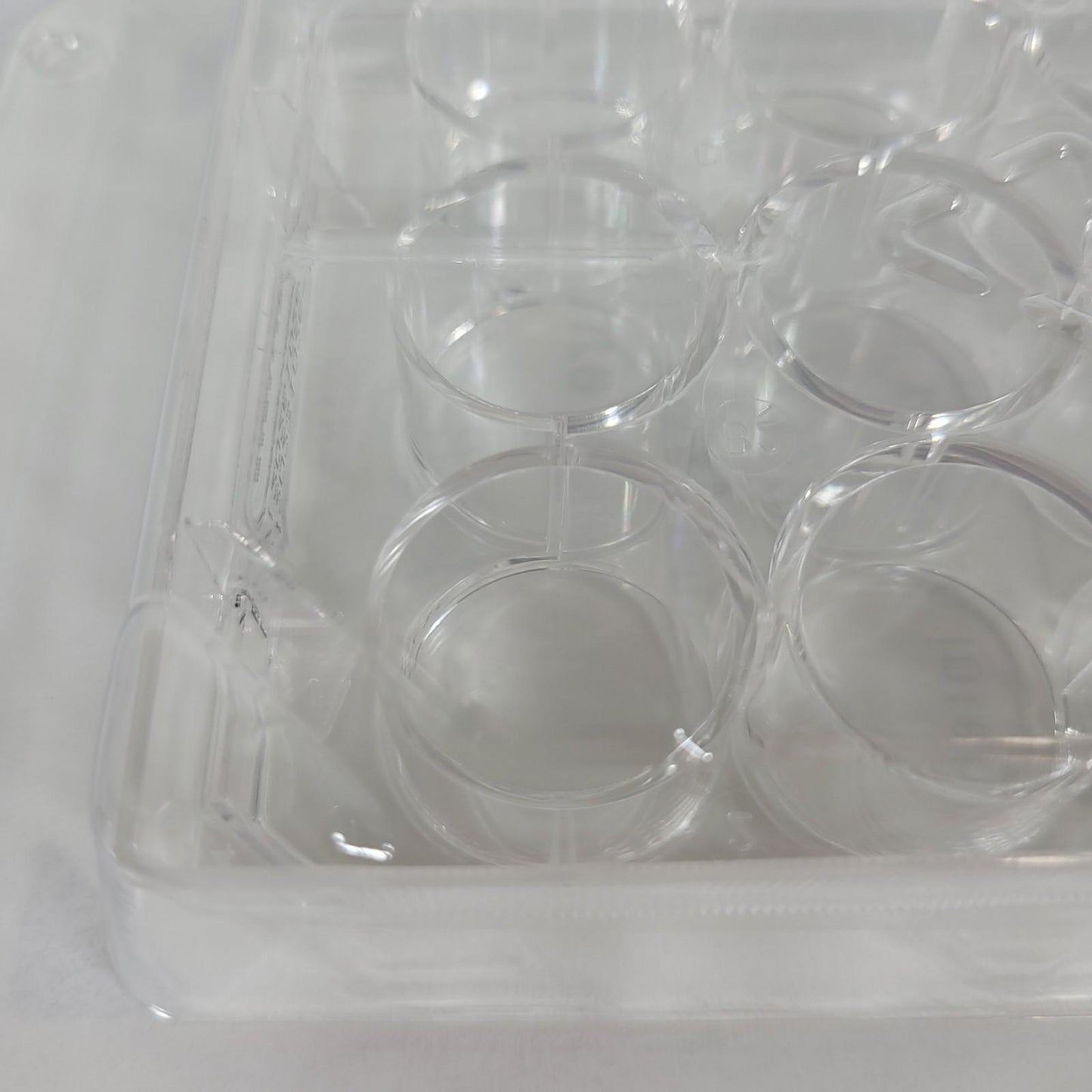 50PK Fisherbrand FB012928 12 Well Tissue Culture Plate Flat Bottom