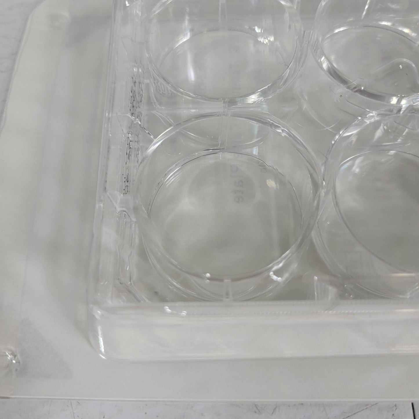 34PK Avantor 10062-892 VWR Tissue Culture Plate 6 Well Surface Treated