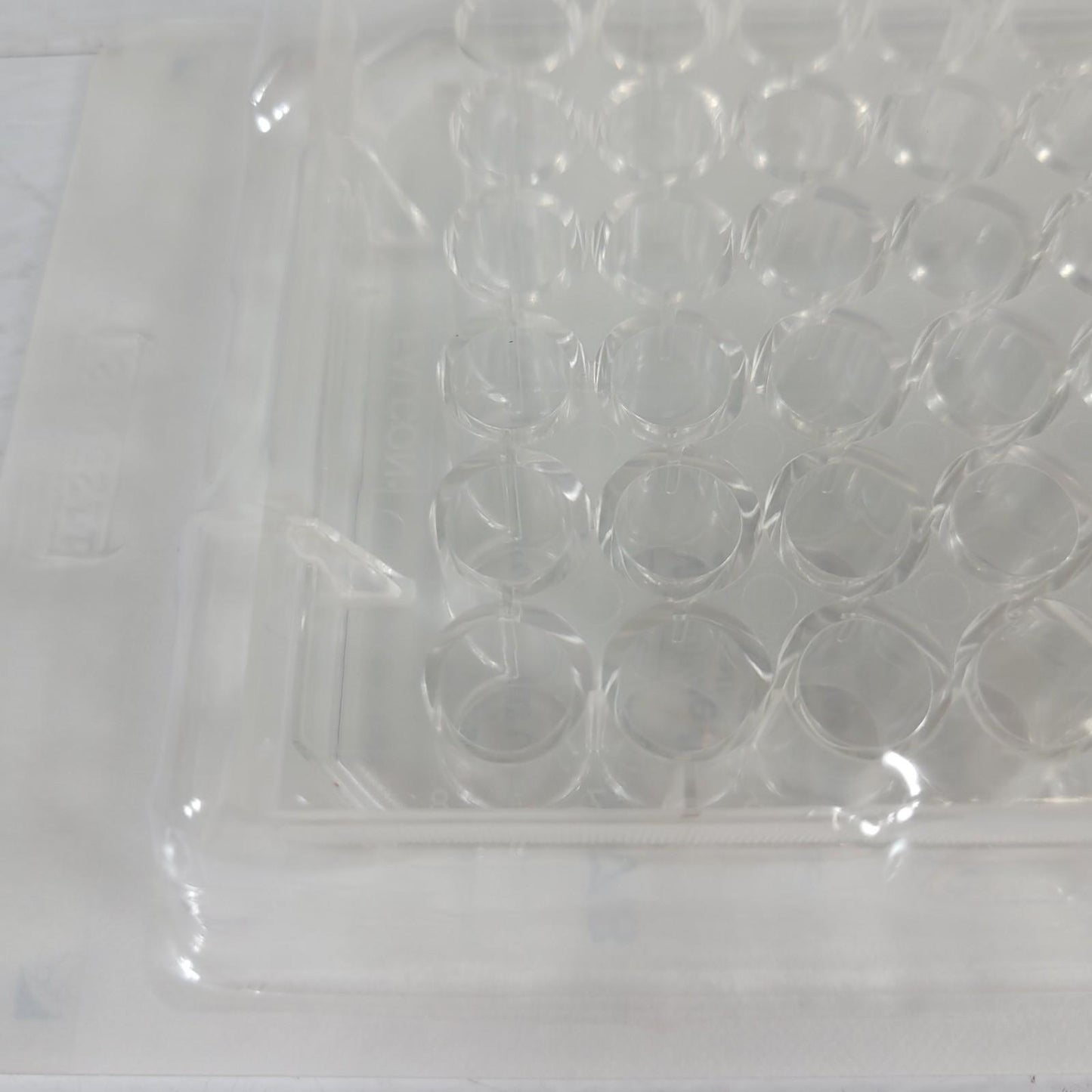 42PK Falcon 353078 48-Well Tissue Culture Plate Flat Bottom Low Evaporation Lid