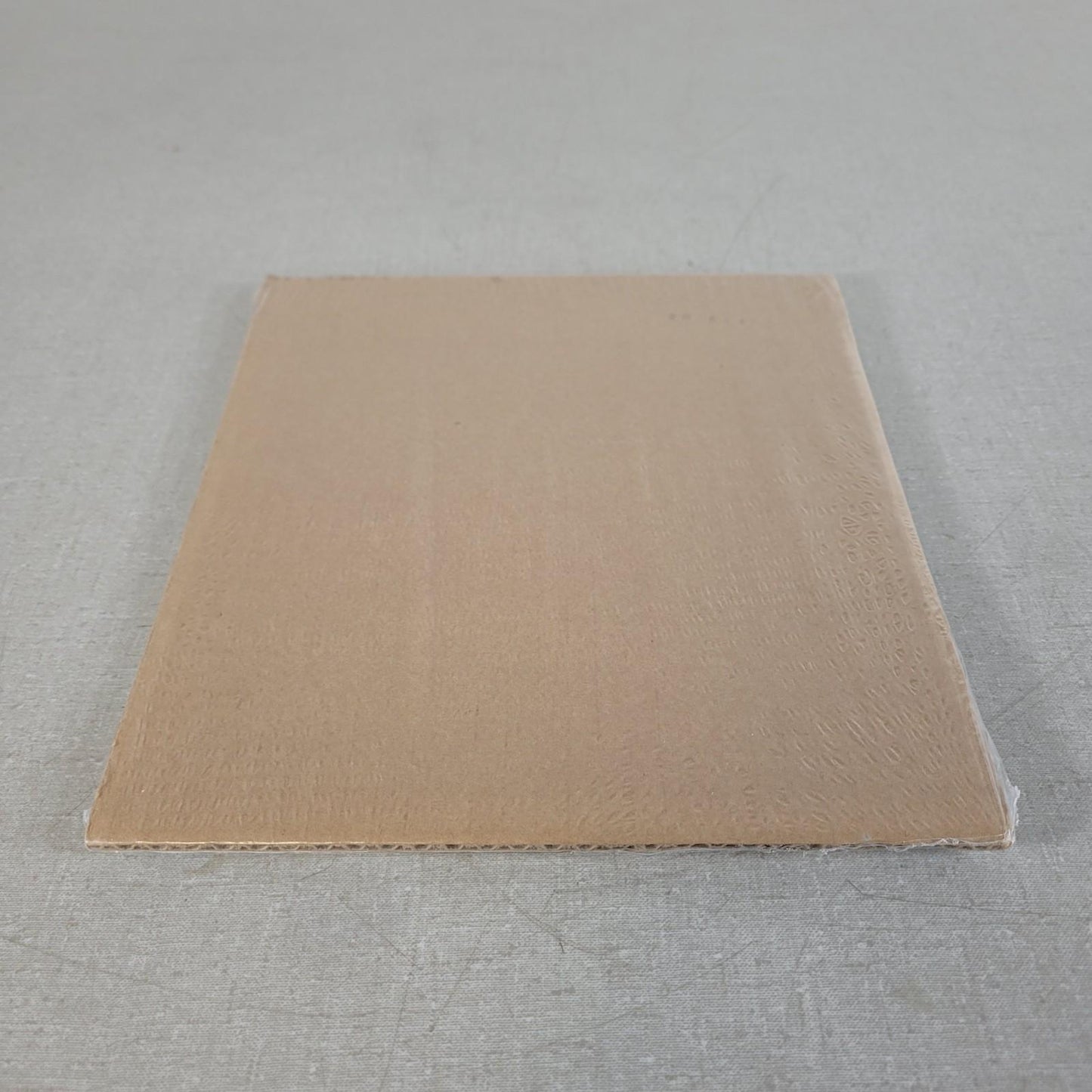 BIO RAD 1651823 Protean II xi Inner Plate 20 x 20cm for Electrophoresis Cells