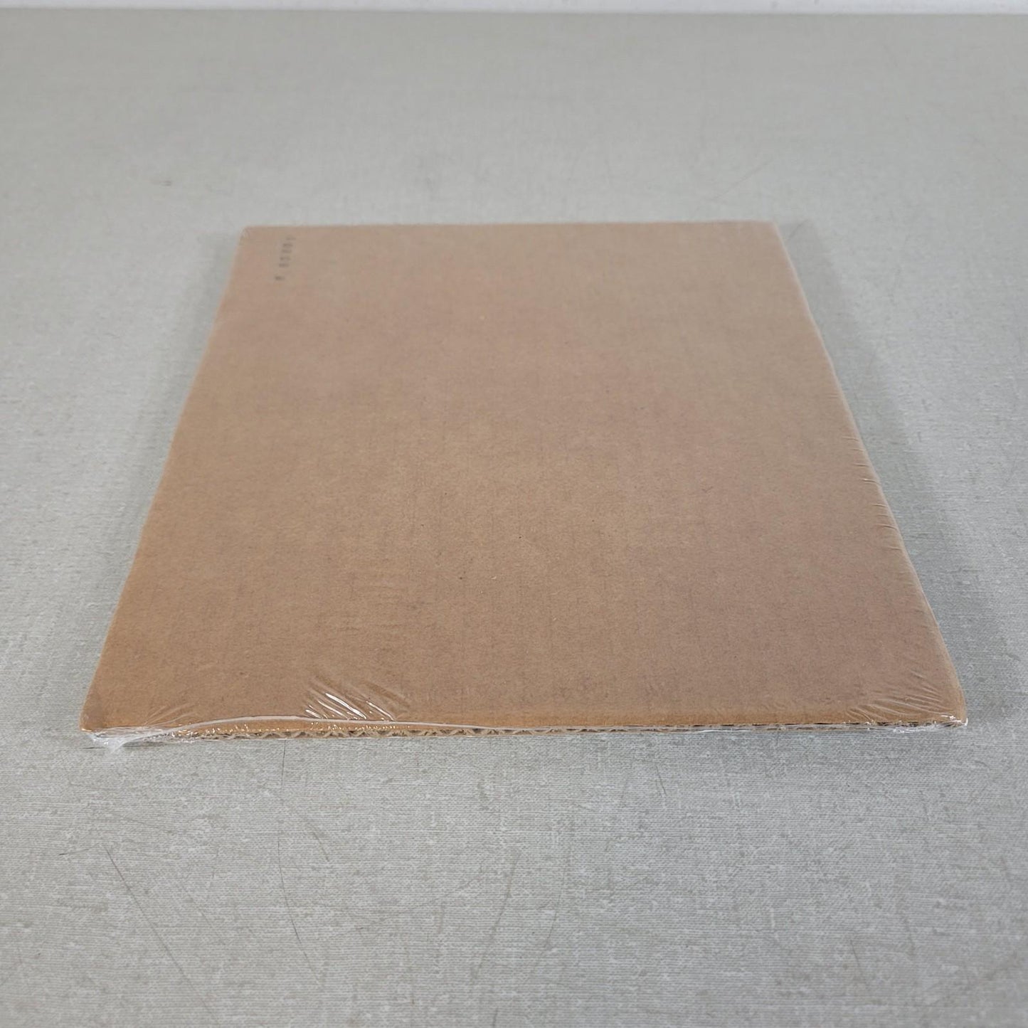 BIO RAD 1651824 Protean II xi Outer Plate 20 x 20cm for Electrophoresis Cells