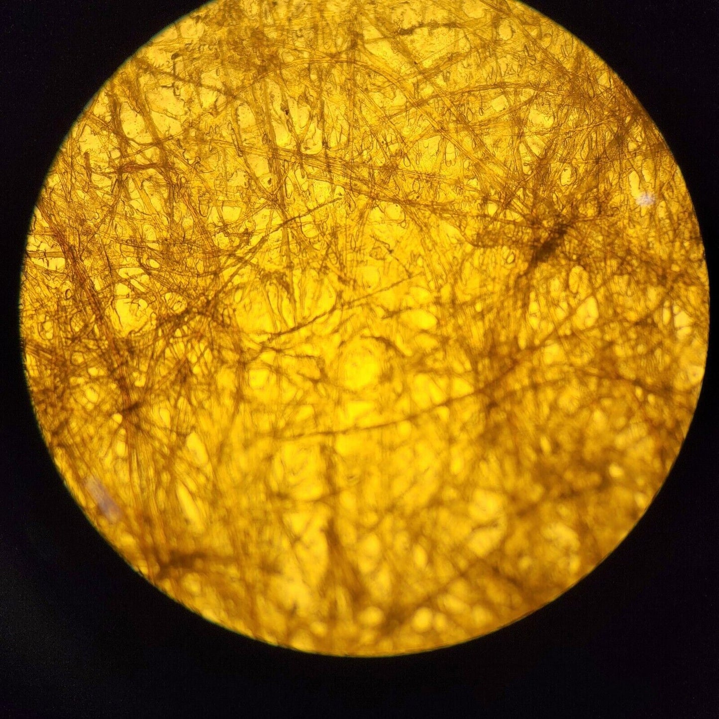 *Tested* Olympus BX40 BX40F4 System Microscope w/ 4 Objectives and 2 Eyepieces