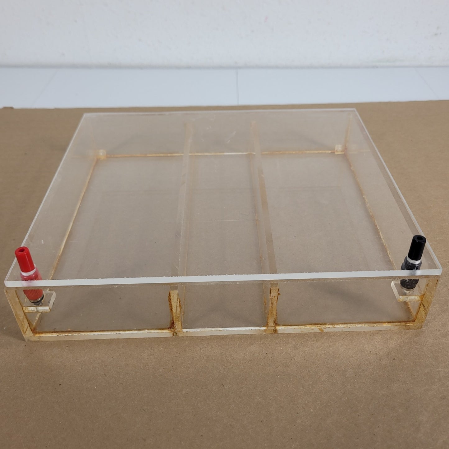 Acrylic Horizontal Gel Electrophoresis Chamber Tank w/ Tray Banana Leads Ellard