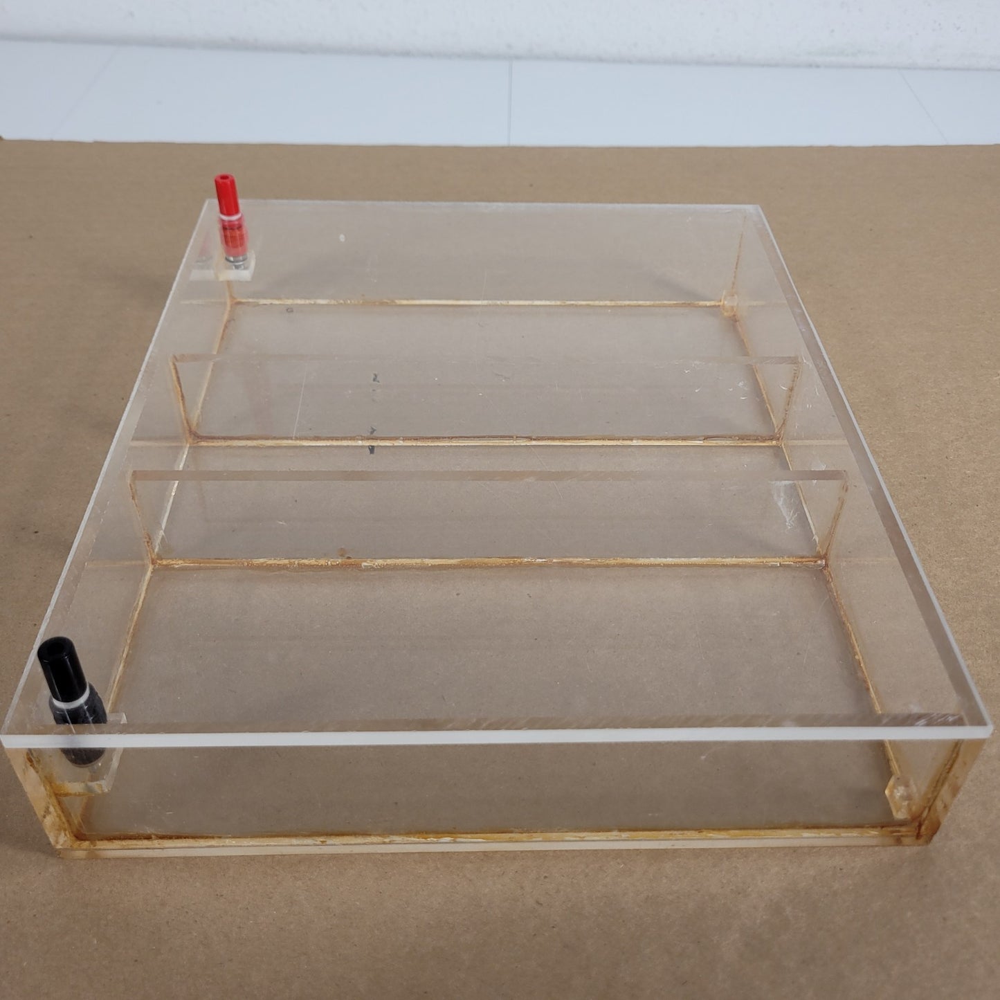 Acrylic Horizontal Gel Electrophoresis Chamber Tank w/ Tray Banana Leads Ellard