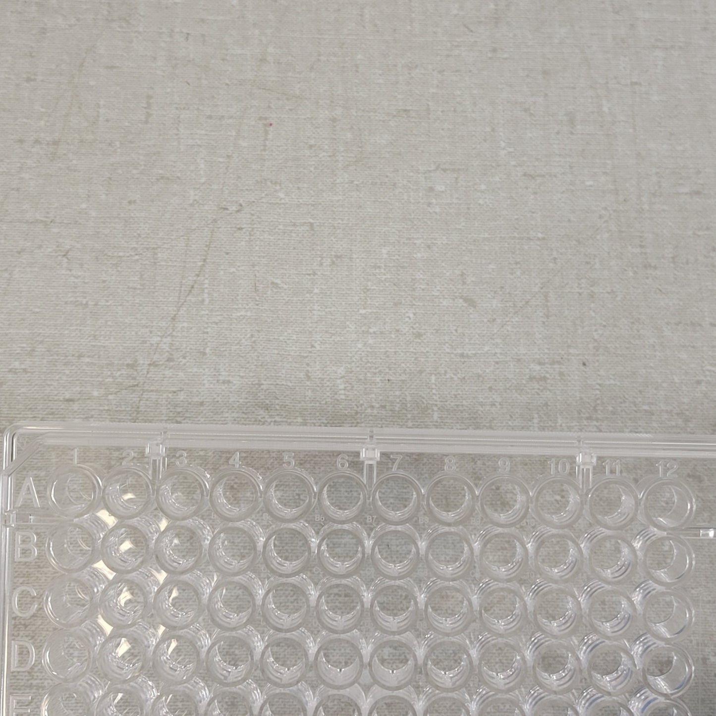 18 Count CORNING 9018 Costar Assay Polystyrene Plate, 96 Well Clear Flat Bottom