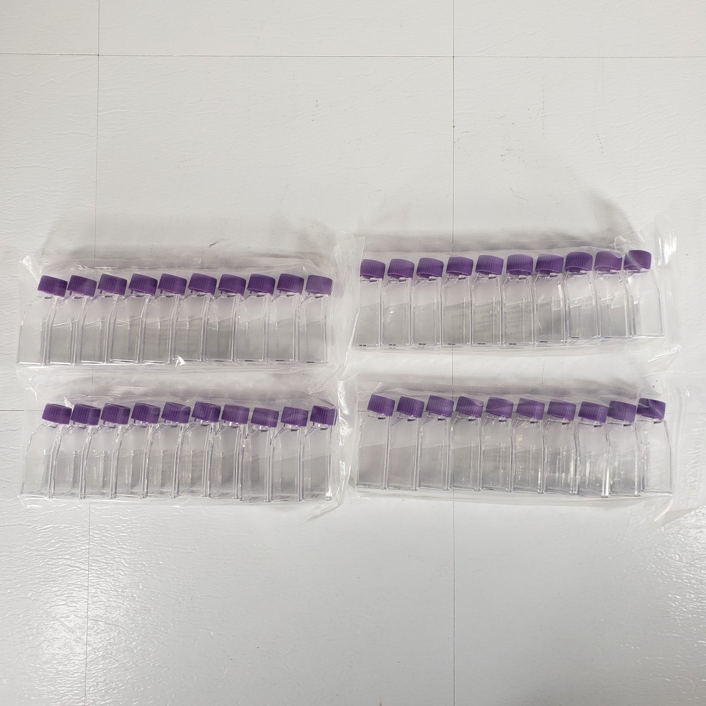 Santa Cruz SC-200261 12.5cm2 Tissue Culture Flasks Vent Cap 40 Count