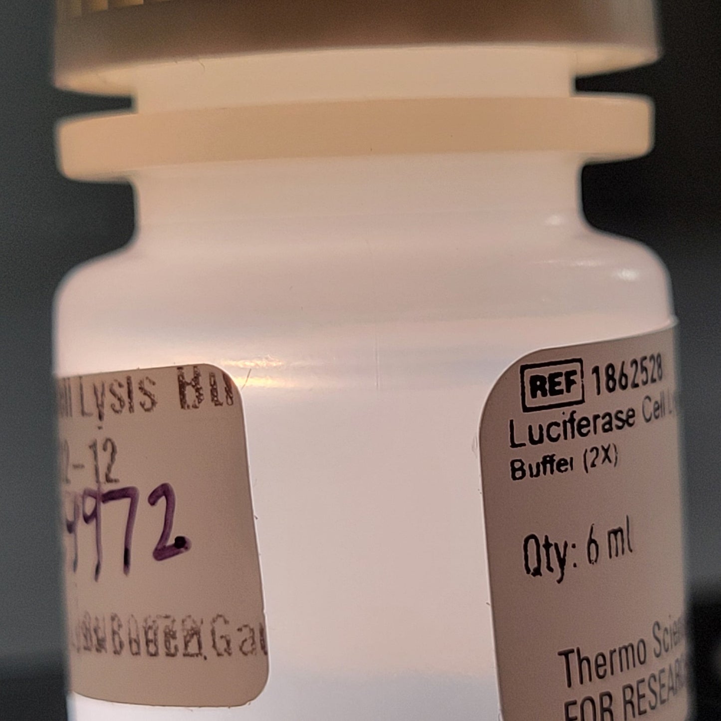 THERMOSCIENTIFIC Cell Signaling Technology Cell Lysis Buffer (2X) 6 ml