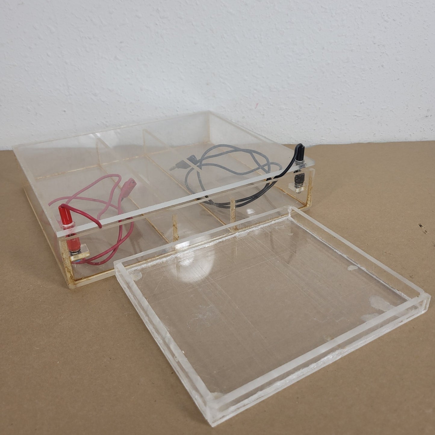 Acrylic Horizontal Agarose Gel Electrophoresis Chamber w Tray & Leads Ellard