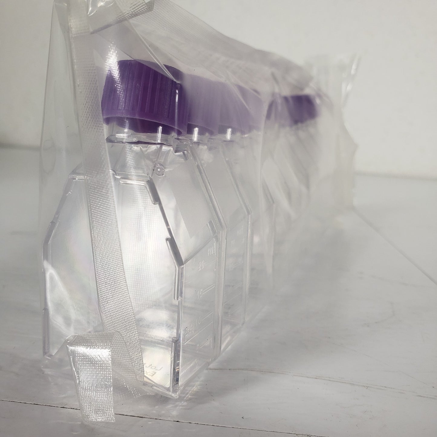 Santa Cruz SC-200261 12.5cm2 Tissue Culture Flasks Vent Cap 40 Count