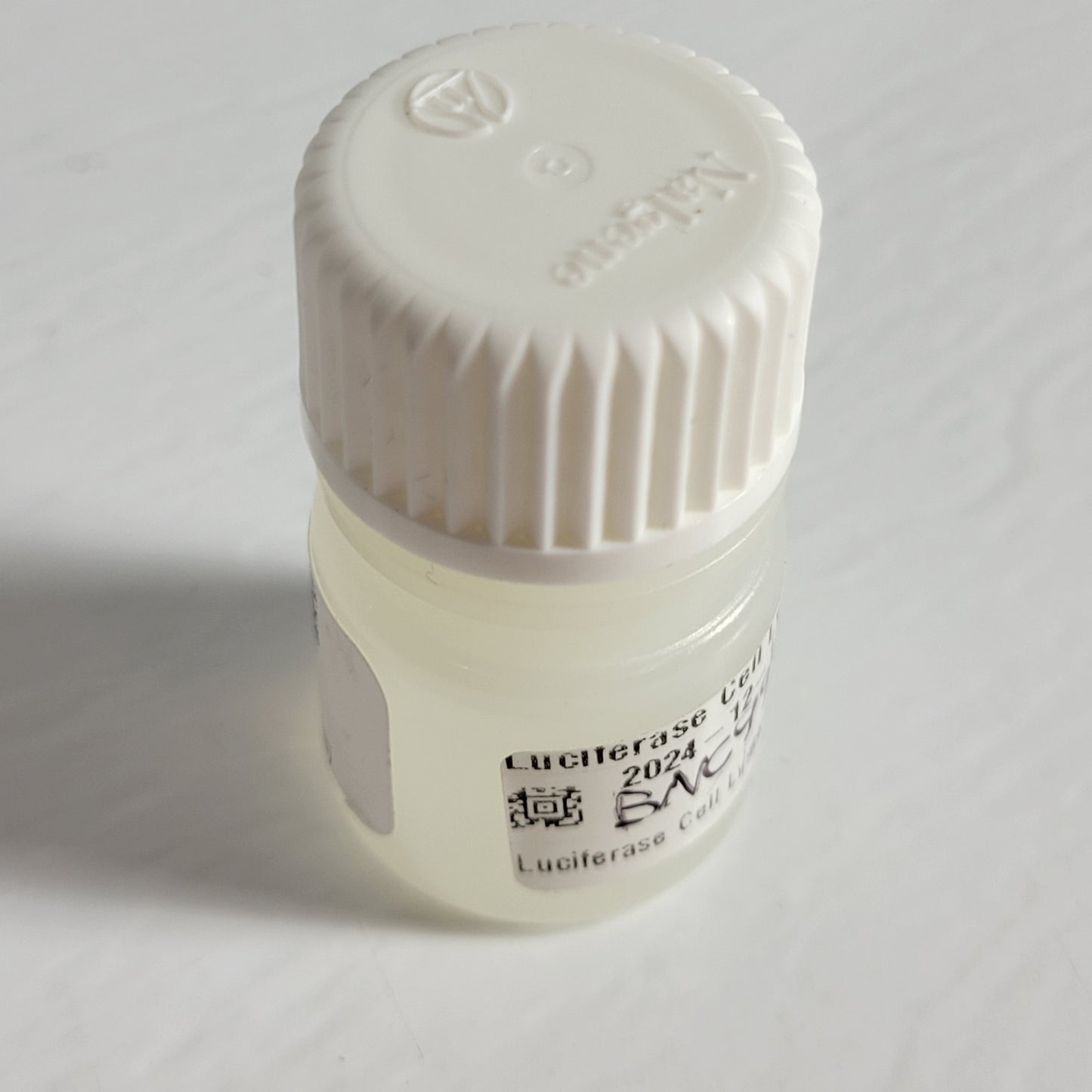 THERMOSCIENTIFIC Cell Signaling Technology Cell Lysis Buffer (2X) 6 ml