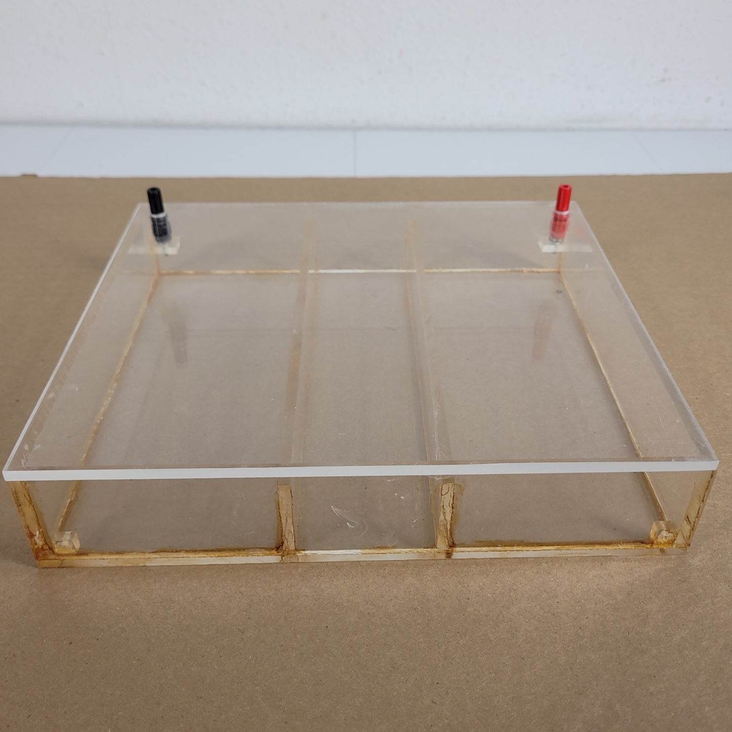 Acrylic Horizontal Gel Electrophoresis Chamber Tank w/ Tray Banana Leads Ellard