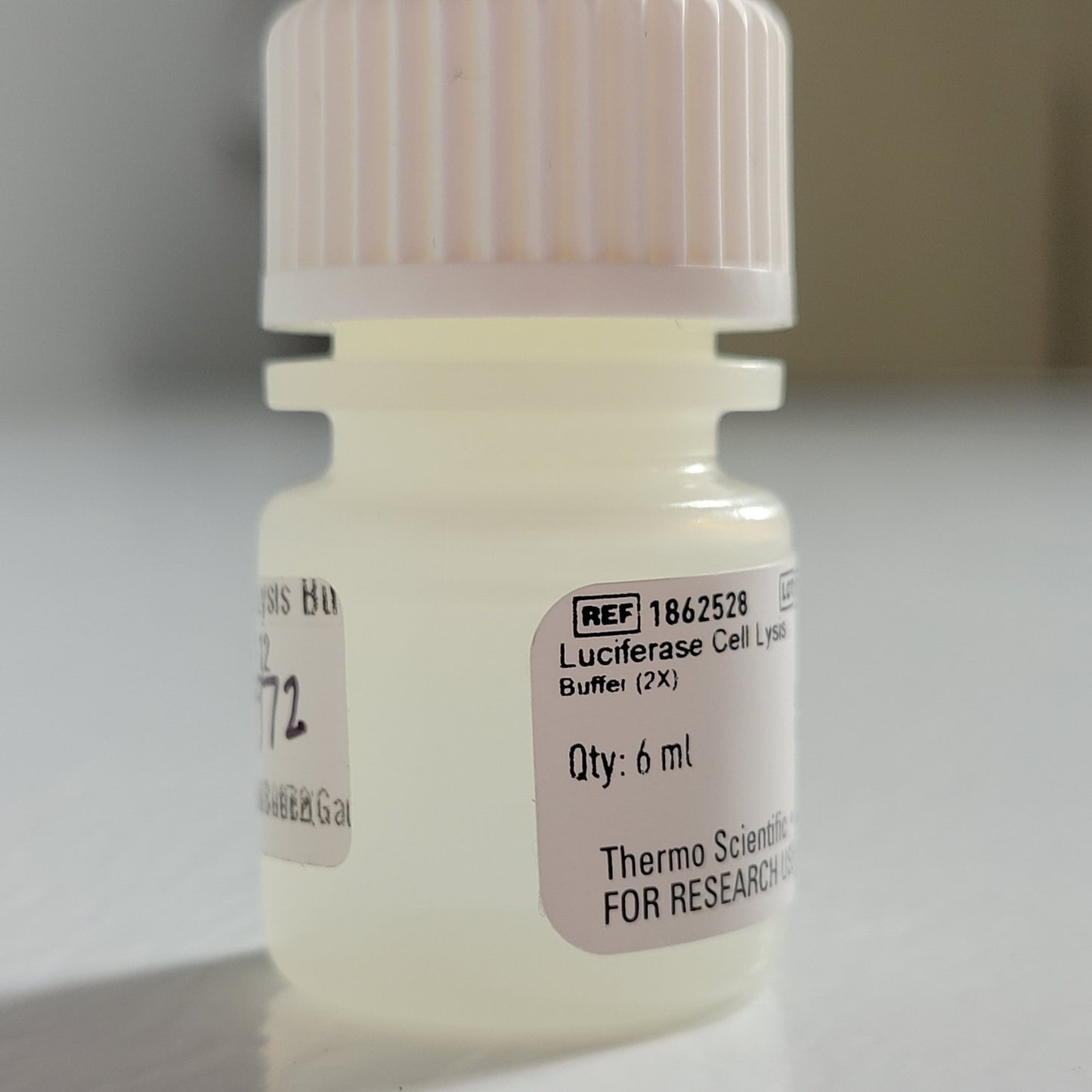THERMOSCIENTIFIC Cell Signaling Technology Cell Lysis Buffer (2X) 6 ml