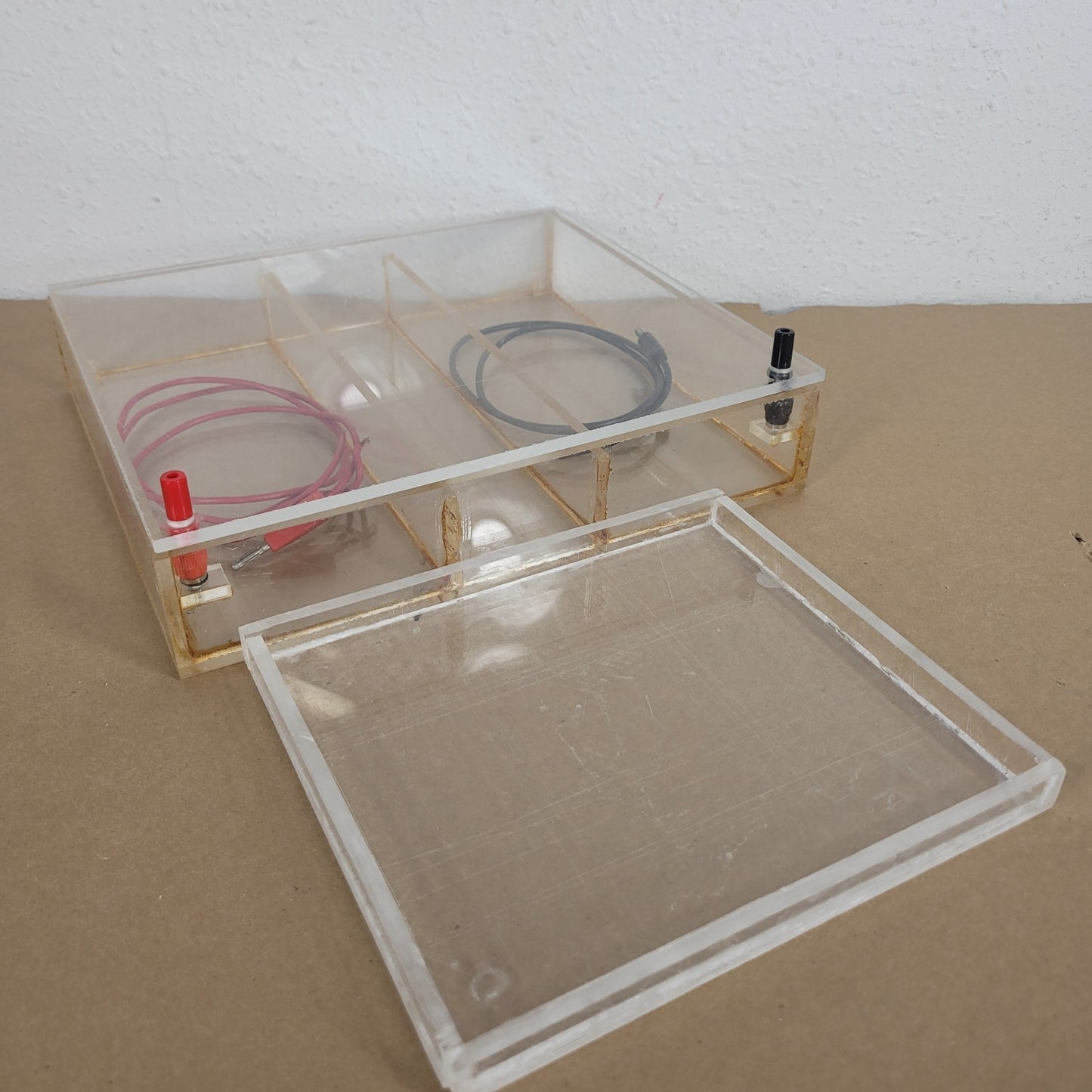 Acrylic Horizontal Gel Electrophoresis Chamber Tank w/ Tray Banana Leads Ellard