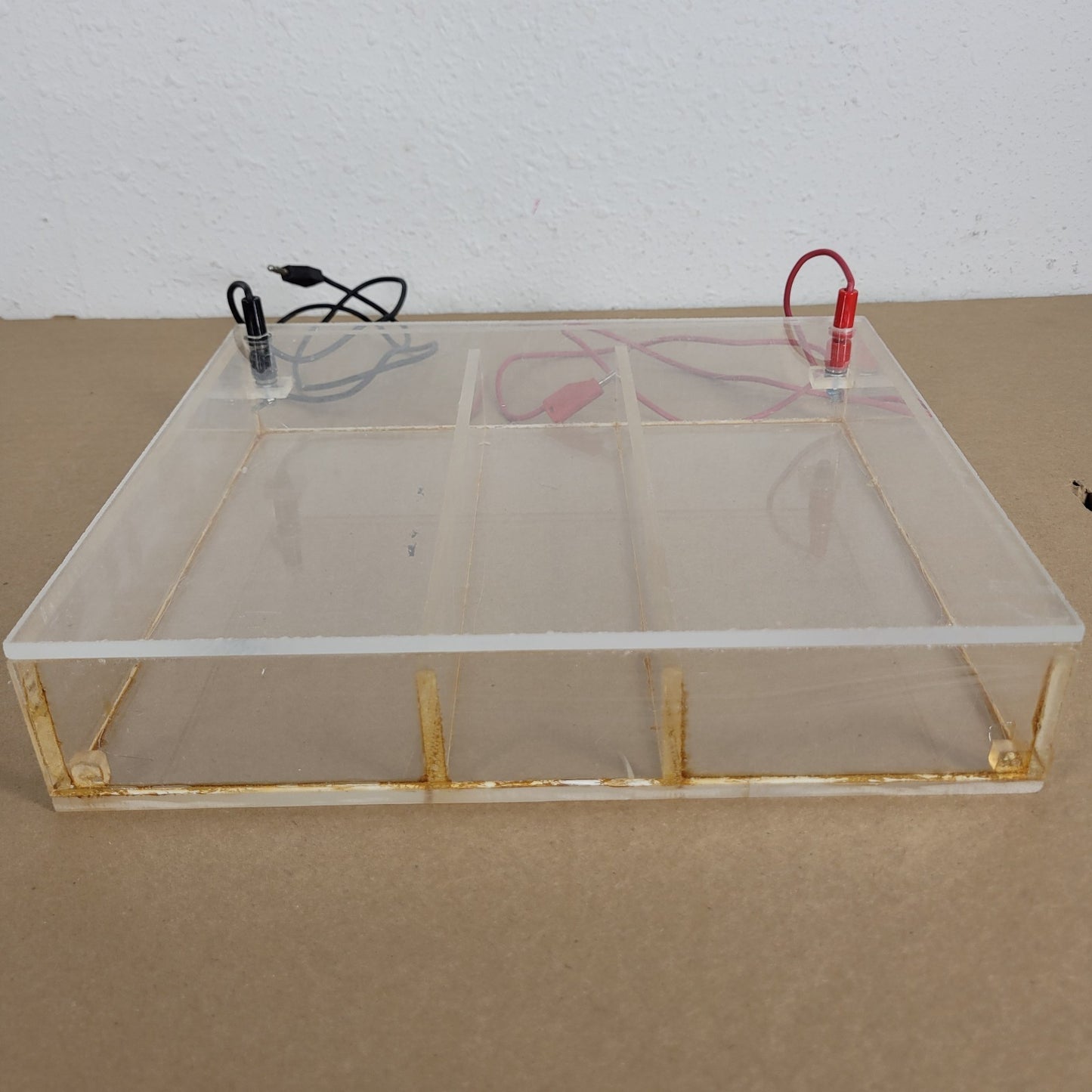 Acrylic Horizontal Agarose Gel Electrophoresis Chamber w Tray & Leads Ellard