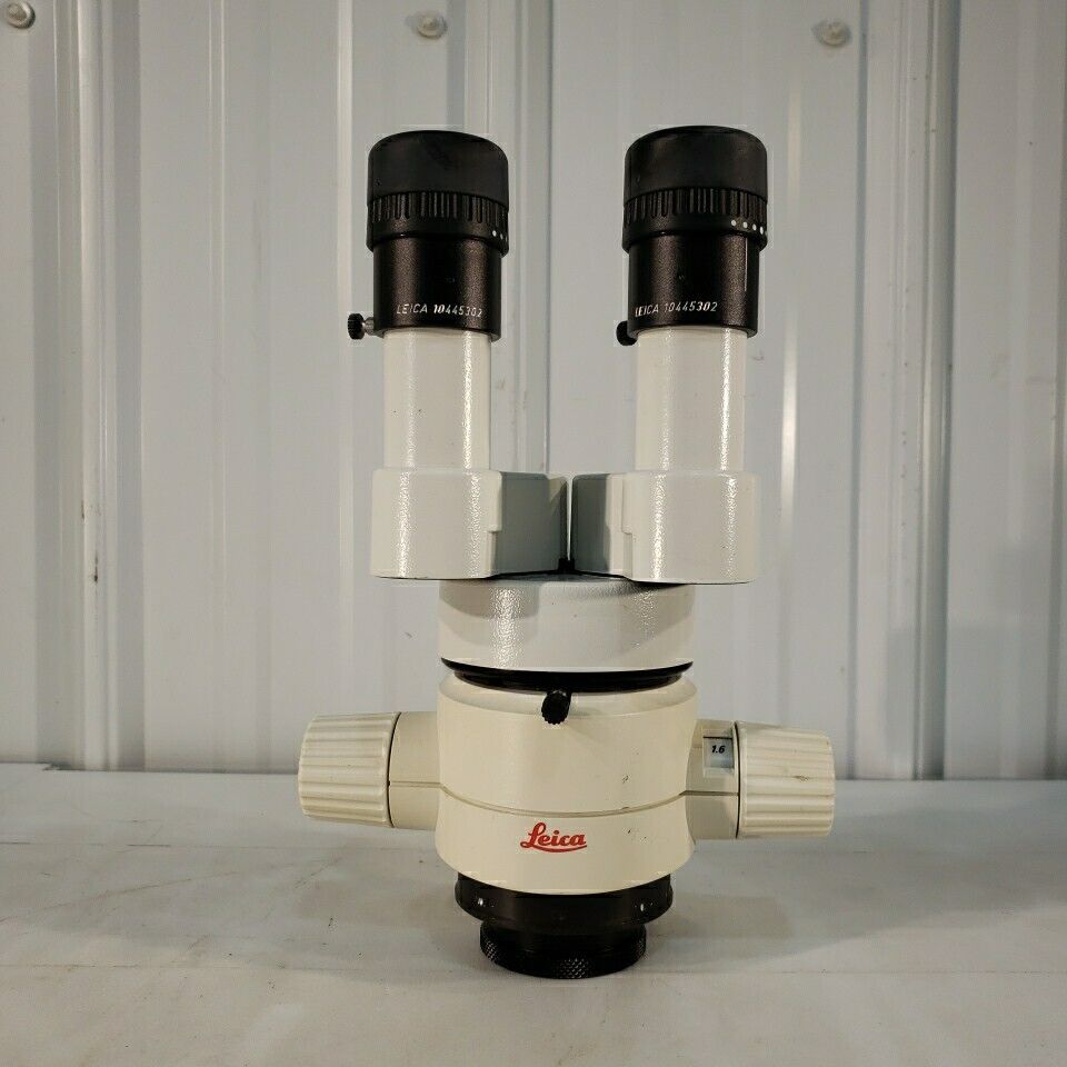 Leica MS5 Microscope Stereozoom Adjustable Height 0.63-4 Zoom w/ 25x Eyepieces
