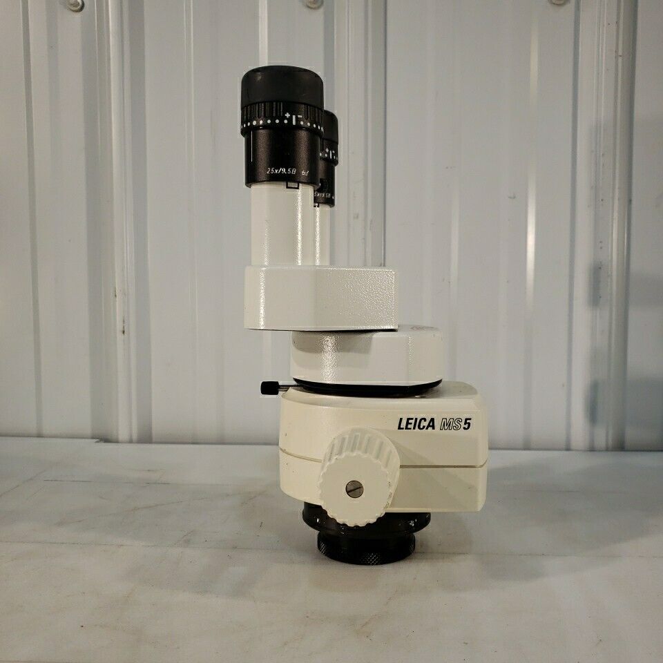 Leica MS5 Microscope Stereozoom Adjustable Height 0.63-4 Zoom w/ 25x Eyepieces