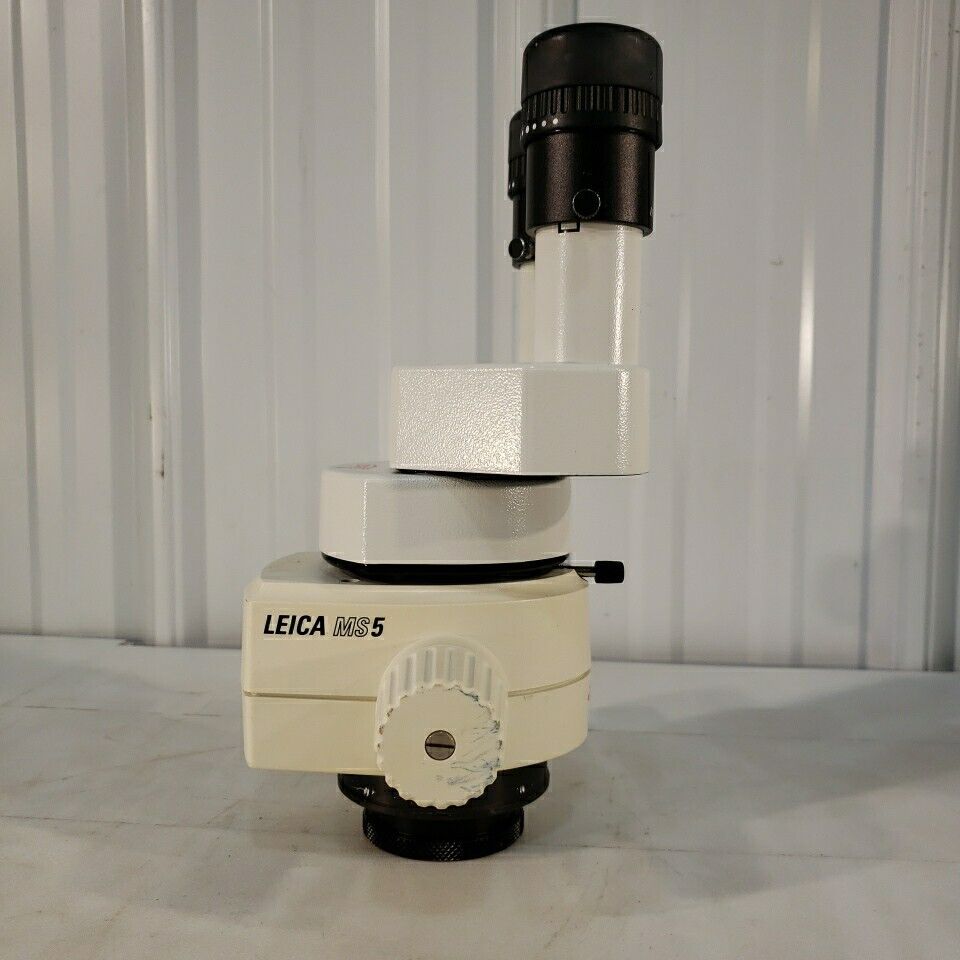 Leica MS5 Microscope Stereozoom Adjustable Height 0.63-4 Zoom w/ 25x Eyepieces