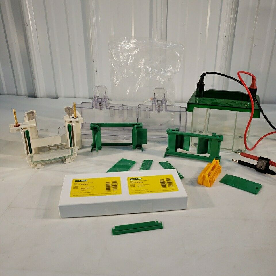Bio Rad Mini PROTEAN 3 SDS-PAGE Gel Electrophoresis Rig System With Gl ...