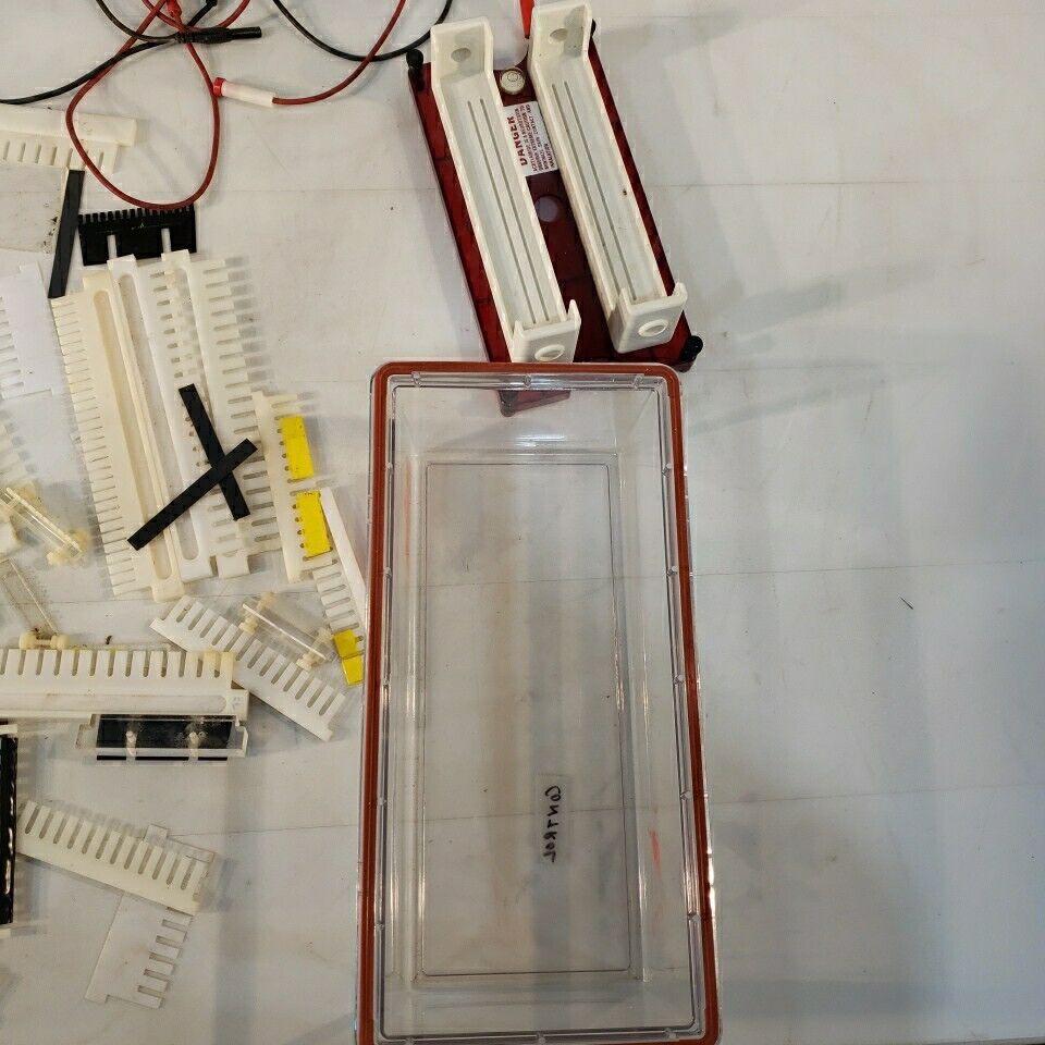 HUGE LOT Of Electrophoresis Combs Power Cords Spacers Containers Sigma Bio-Rad