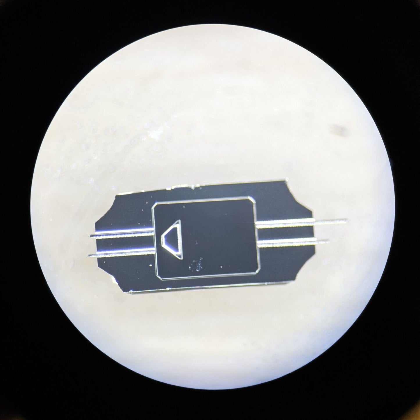 MikroMasch HQ:XSC11/Pt Pack of 29 AFM Cantilevers 4 Tips Per Probe uMasch SPM