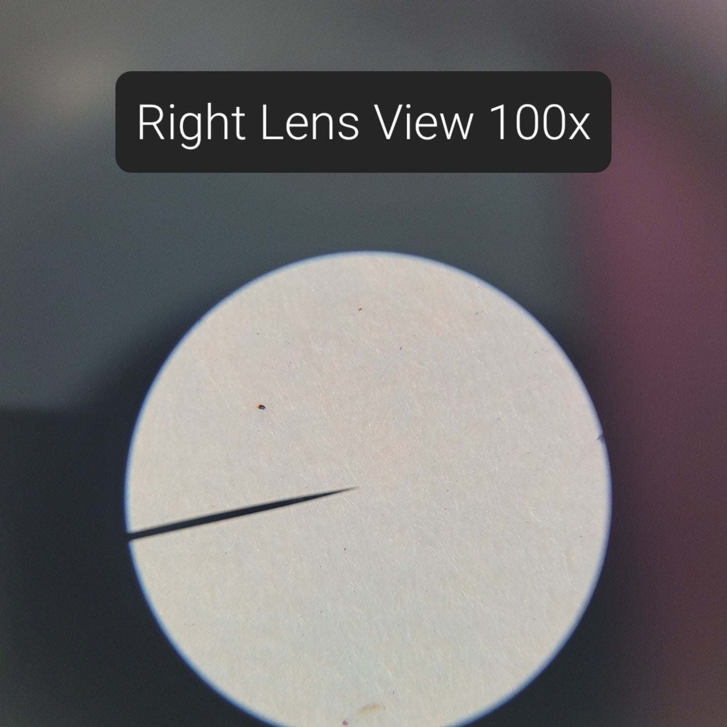 LOADED TESTED Nikon Alphaphot YS-2 Binocular Microscope E4 E10 E40 E100