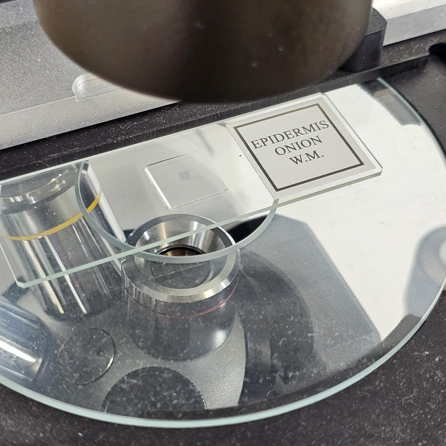 TESTED- VWR 89404-462 Trinocular Inverted Phase Contrast Microscope w Objectives