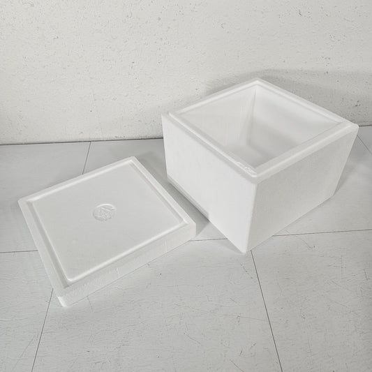 Styrofoam Insulated Shipping Mailer Cryo Shipper Cooler PERISHABLES MEDS FOOD