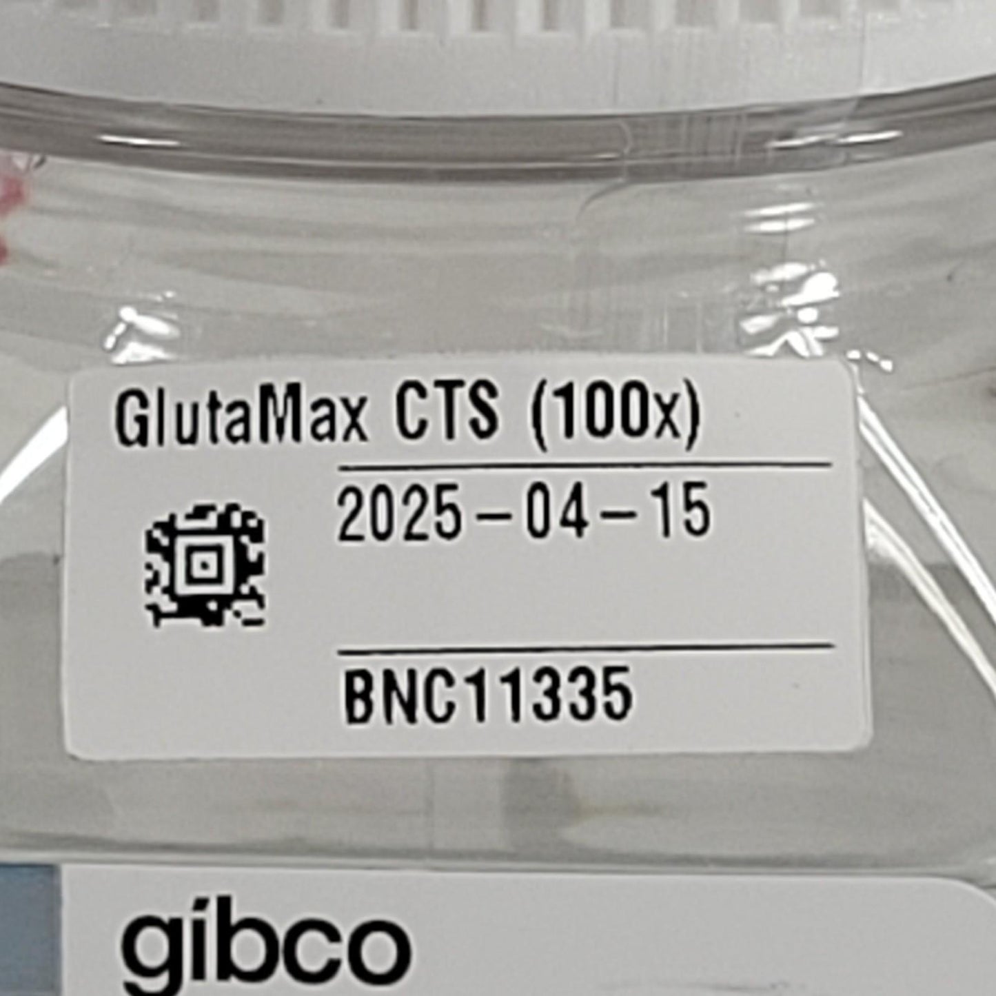 Thermo Gibco A12860-01 Cell Therapy GlutaMAX CTS 100X L-glutamine Substitute