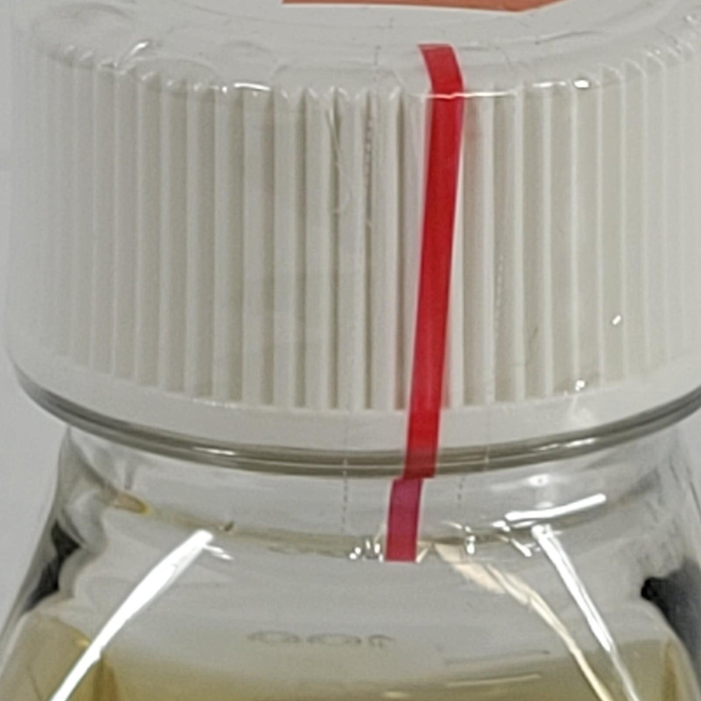 Thermo Gibco 18050-039 Tryptose Phosphate Broth TPB 1X 100ml Sterile