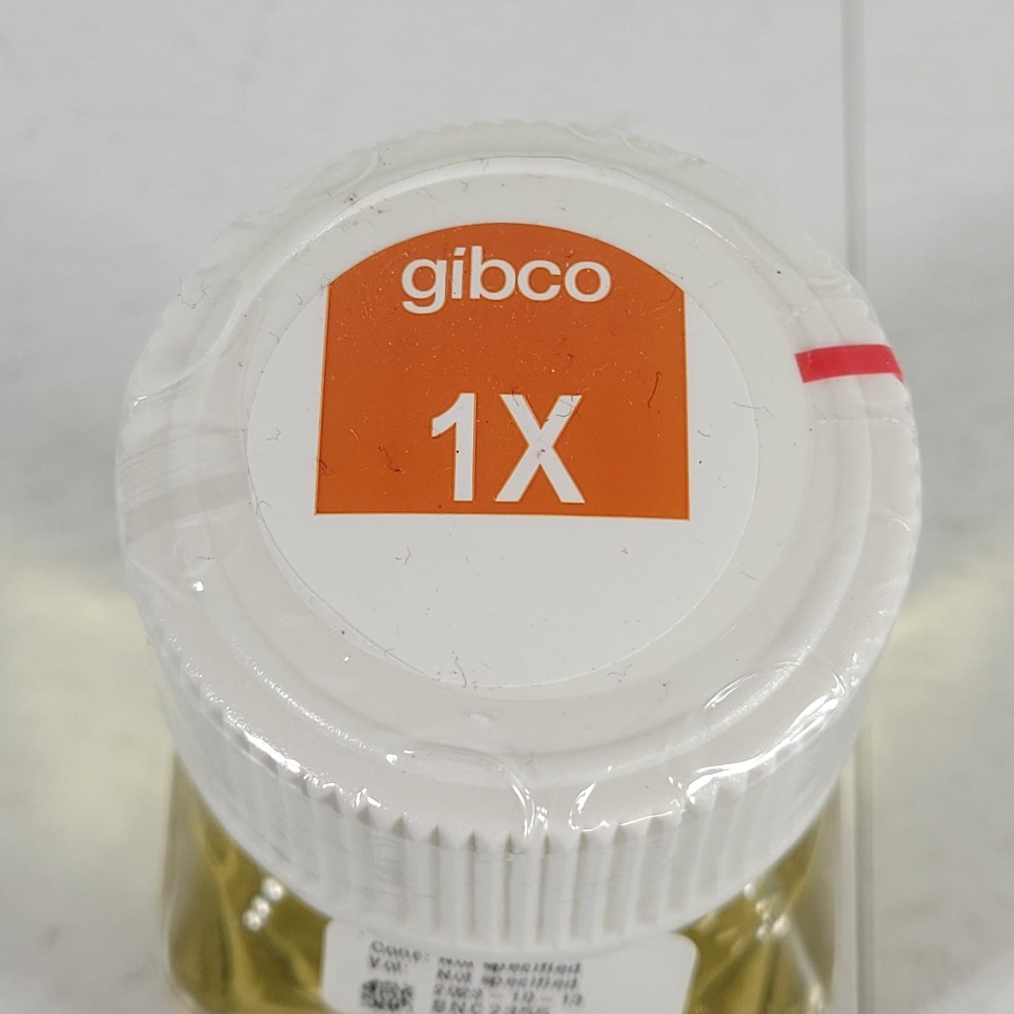 Thermo Gibco 18050-039 Tryptose Phosphate Broth TPB 1X 100ml Sterile