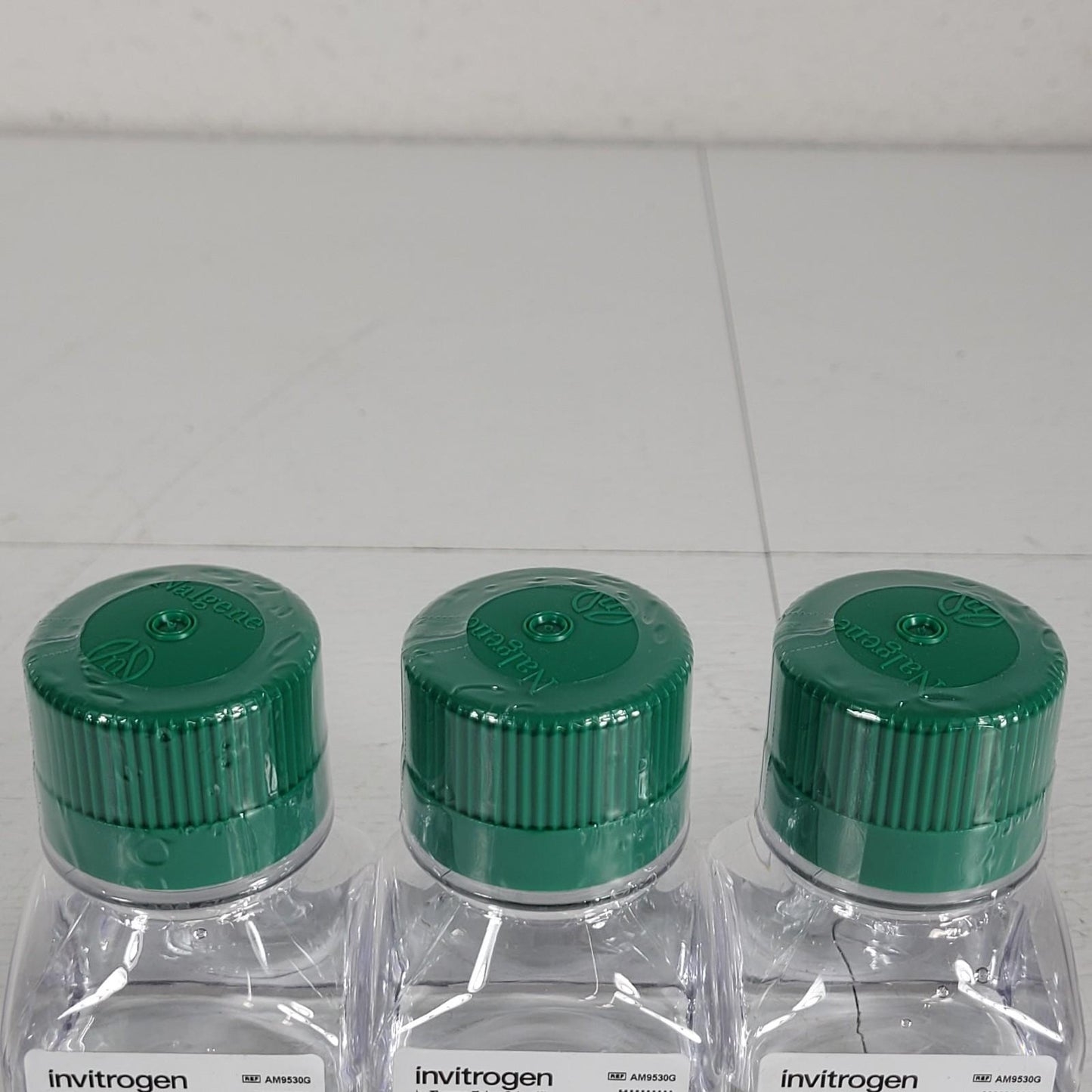 Lot of 3 Thermo Invitrogen AM9530G 1M MgCl2 Buffer Kit 0.2µm Filtered 100mL Each